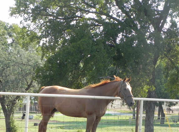 RTM RANCH - Aledo, TX