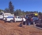 Double D Tree Service LLC - Arborists