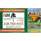 B&M Tree & Stump Removal