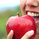 Harborside Dental Team
