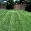 Forever All Natural Landscaping - Landscaping & Lawn Services