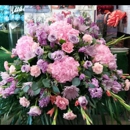 Schneider's Flowers, LLC - Flowers, Plants & Trees-Silk, Dried, Etc.-Retail