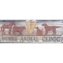 Burke Animal Clinic