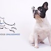 All Dogs Unleashed gallery