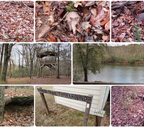 Chattahoochee Bend State Park - Newnan, GA. Sights of Riverside Trail