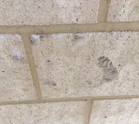 Black & White Concreting - Robinson, WA. Hand prints on our bricks