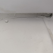 Gallery Image Number 4