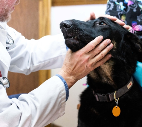 Three Trails Animal Hospital - Independence, MO