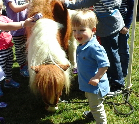 About Town Ponies - Waxhaw, NC