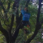 jo&ru tree service