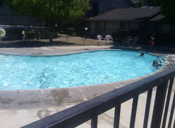 Affordable Pool Service. Always sparkling!