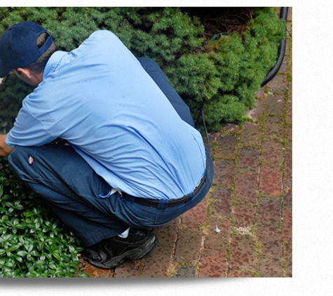 Alliance Pest Control Inc - Lake Worth, FL