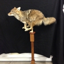 Trophy Elite Taxidermy - Taxidermists