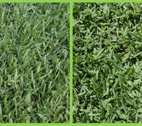 Walkers Turf Supplies - Silkstone, QLD