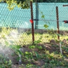 Denning Pest Control gallery