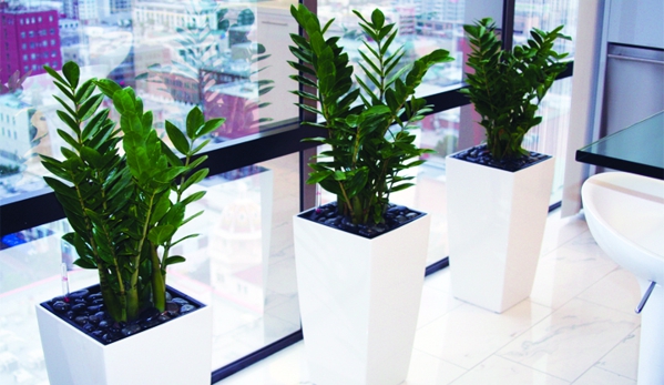 Greenleaf-Interior Plant Solutions - San Diego, CA