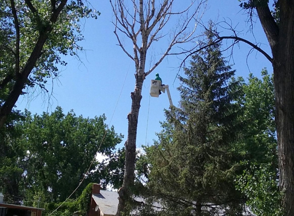 Quality Tree Service - Great Falls, MT. Large trees in tight places are no problem!!