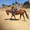 Rolling Hills Boarding Stables of Poway gallery