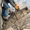 Martinsen Tree Service gallery