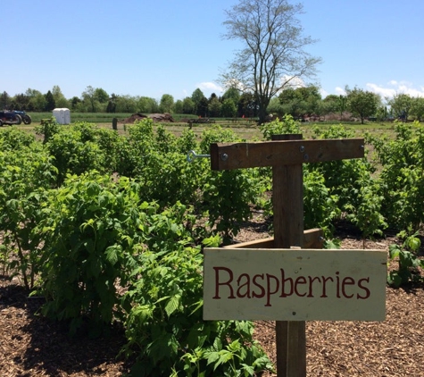 Sang Lee Farms - Peconic, NY