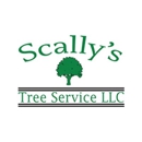 Scally's Tree Service - Tree Service