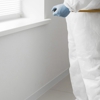 Mountain View Pest Control gallery