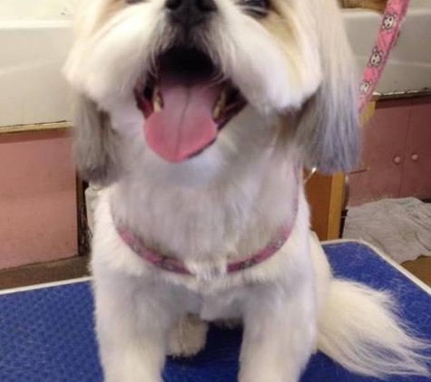 TLC Pet Shop & Grooming - Tustin, CA