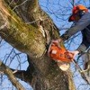 J & J Tree Services gallery