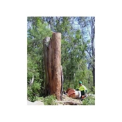 Gallery Image Number 7