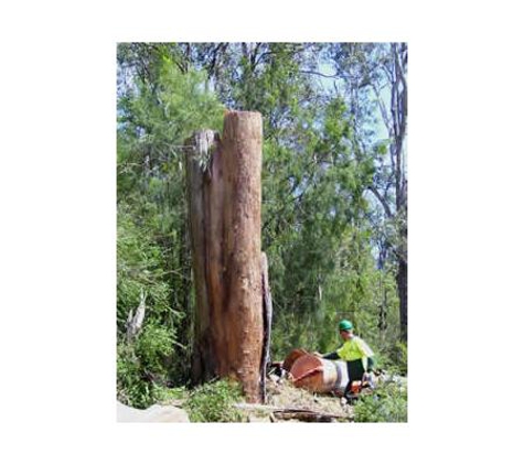 Sapphire Coast Firewood - Queanbeyan West, NSW