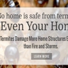 Action Termite & Pest Control gallery