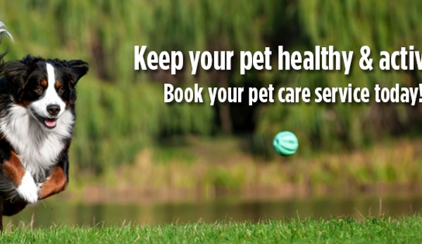 Fetch! Pet Care Monrovia-West Covina - Arcadia, CA