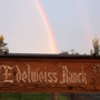 Edelweiss Ranch & Rabbitry