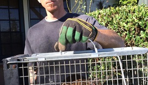 Urban Wildlife Trapping Experts - Los Angeles, CA