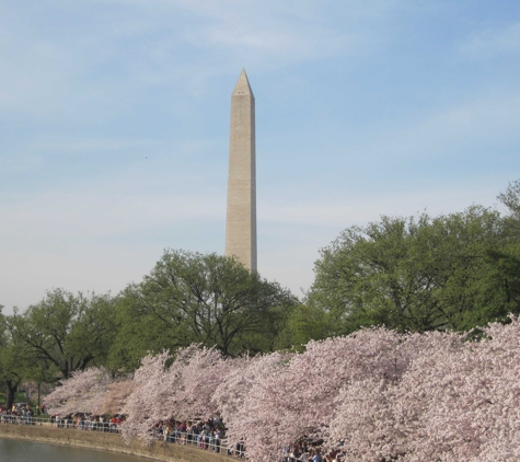 Washington Monument - Washington, DC