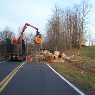 Adirondack Tree Surgeons Inc