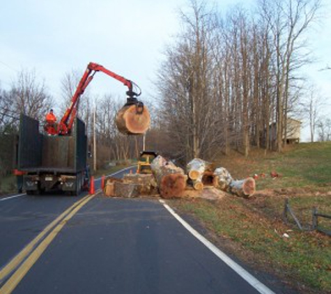 Adirondack Tree Surgeons Inc - Gansevoort, NY