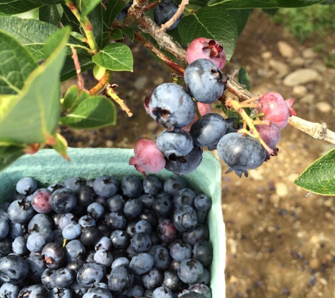 Sweet Berry Farm - Middletown, RI