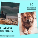 Westchester Animal Behavior - Dog Training