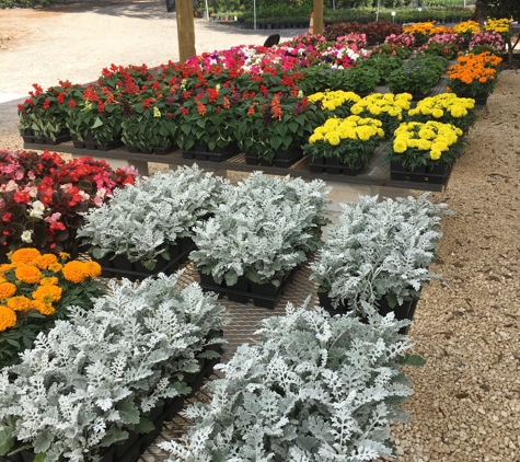 CML Garden Center - Brooksville, FL