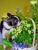 Doggie Du-Rite - Dog Training