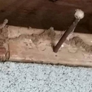 D&J Wildlife Pest