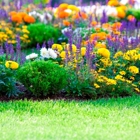 Honey Badger Lawn Care & Landscaping