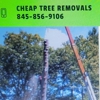 Cheap Tree Removals gallery