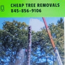 Cheap Tree Removals - Tree Service