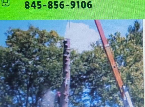 Cheap Tree Removals - Matamoras, PA