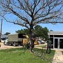 Wood Work Tree Service - Tree Service