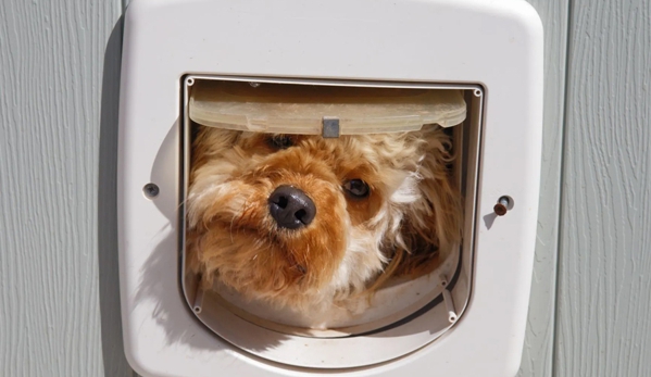 Geelong Cat & Dog Doors - Rippleside, VIC