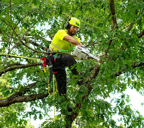 Bartlett Tree Experts - Carlisle, PA - Carlisle, PA