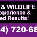 Titan Pest and Wildlife Solutions - Pest Control Services